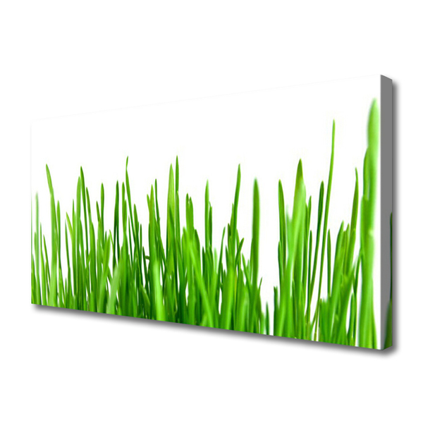 Canvas print Grass floral green