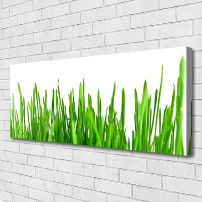 Canvas print Grass floral green