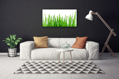 Canvas print Grass floral green