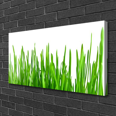 Canvas print Grass floral green