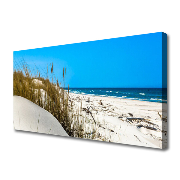 Canvas print Beach landscape green white