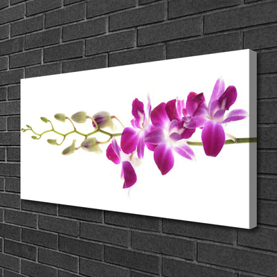 Canvas print Flowers floral red