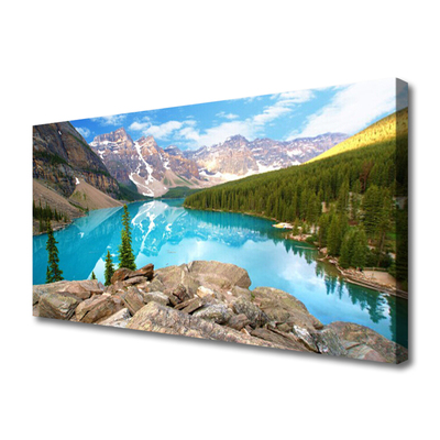 Canvas print Mountains seewald nature grey blue green