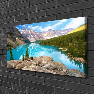 Canvas print Mountains seewald nature grey blue green