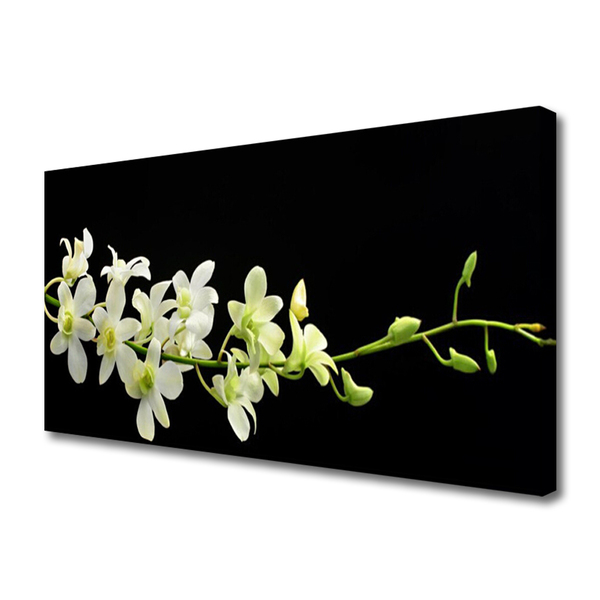 Canvas print Flowers floral white green