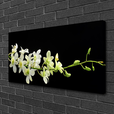 Canvas print Flowers floral white green