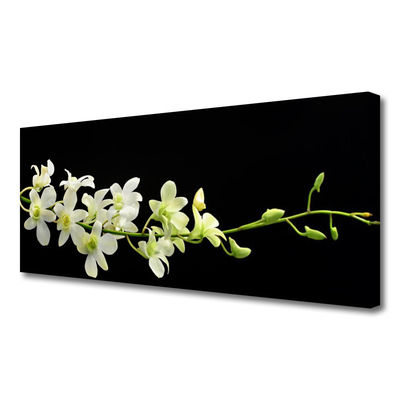 Canvas print Flowers floral white green