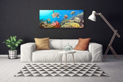 Canvas print Coral reef landscape multi