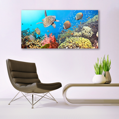 Canvas print Coral reef landscape multi