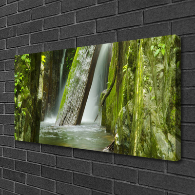 Canvas print Waterfall nature green grey white