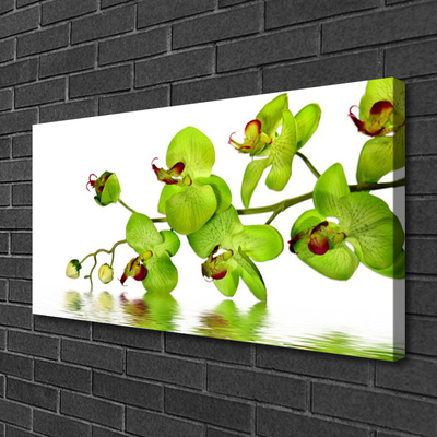 Canvas print Flowers floral green