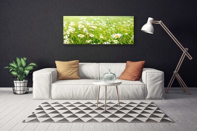 Canvas print Meadow daisies nature white yellow green