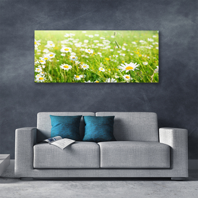 Canvas print Meadow daisies nature white yellow green