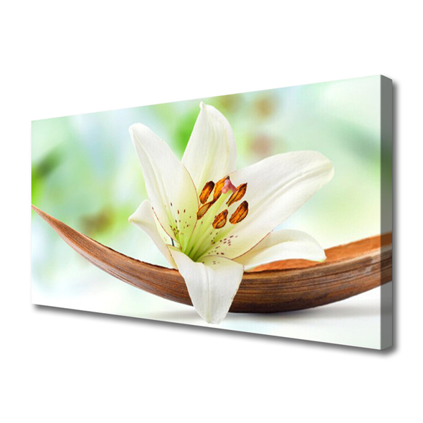 Canvas print Flower floral white