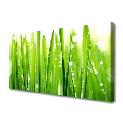 Canvas print Grass floral green