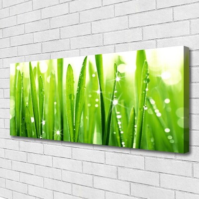 Canvas print Grass floral green