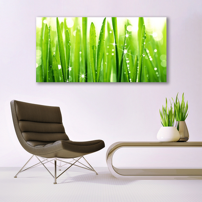 Canvas print Grass floral green