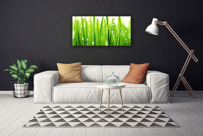 Canvas print Grass floral green