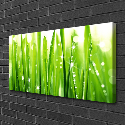 Canvas print Grass floral green