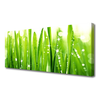 Canvas print Grass floral green