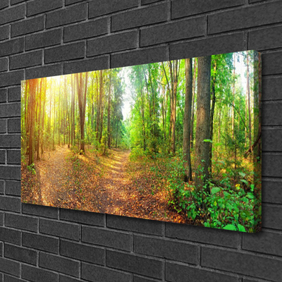 Canvas print Forest nature brown green