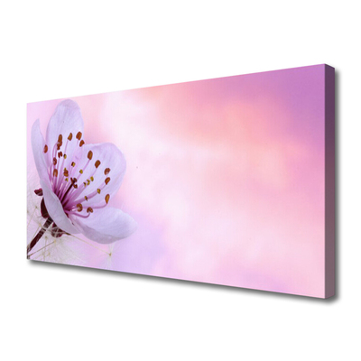 Canvas print Flower floral pink