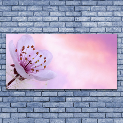 Canvas print Flower floral pink