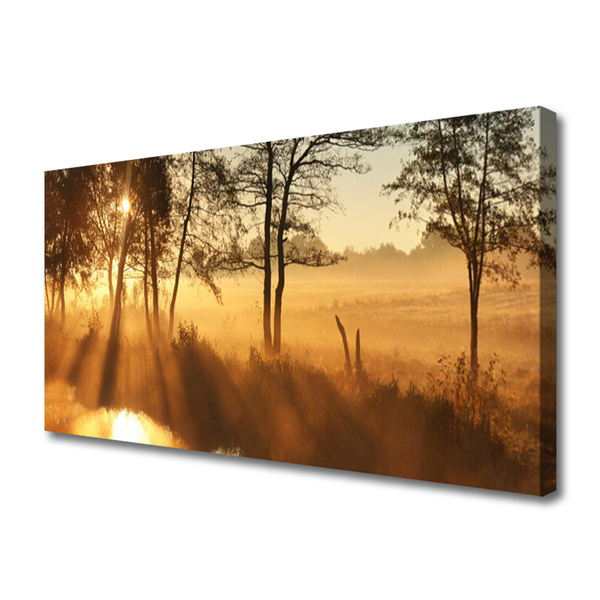 Canvas print Trees nature brown yellow