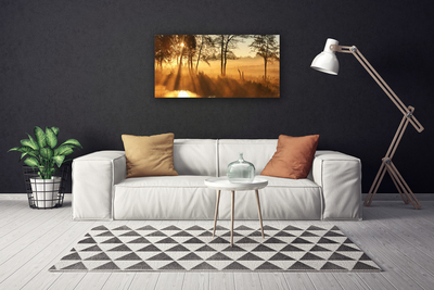 Canvas print Trees nature brown yellow