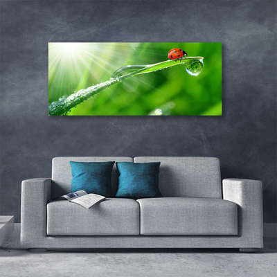 Canvas print Grass sun beetle nature green white red black
