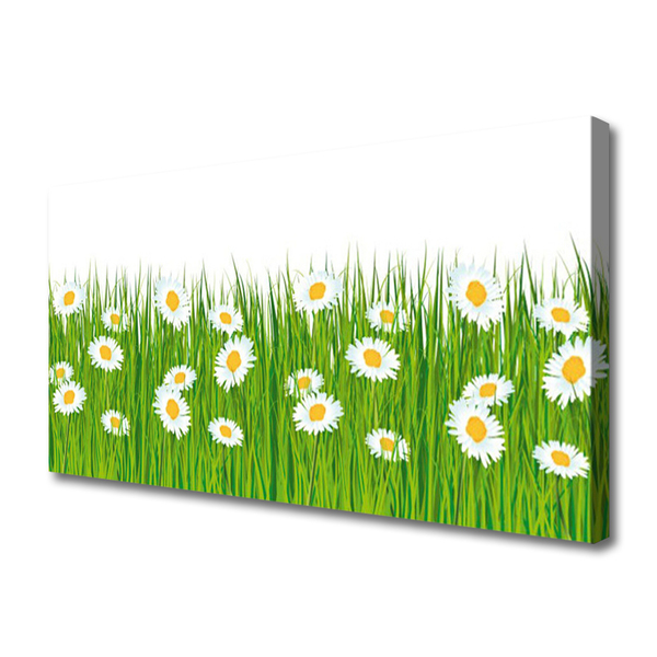 Canvas print Grass daisies nature green white yellow