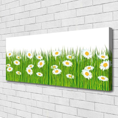 Canvas print Grass daisies nature green white yellow