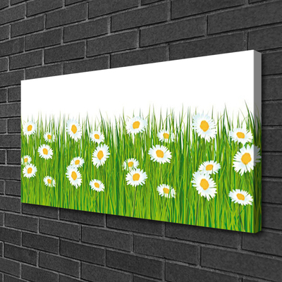 Canvas print Grass daisies nature green white yellow