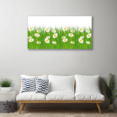 Canvas print Grass daisies nature green white yellow