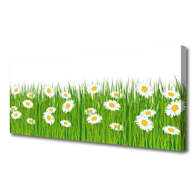 Canvas print Grass daisies nature green white yellow