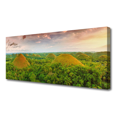 Canvas print Forest nature green