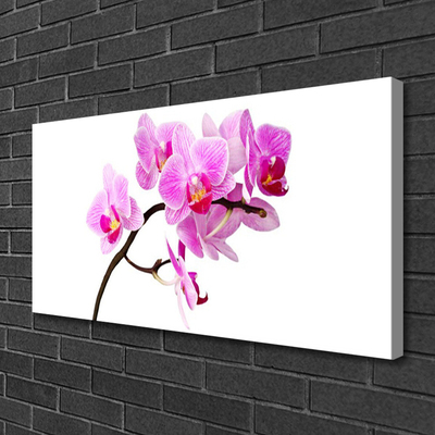 Canvas print Flowers floral pink brown