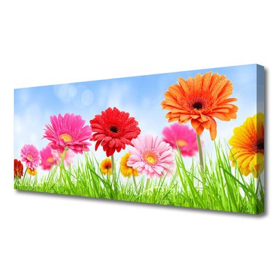 Canvas print Flowers grass floral multi