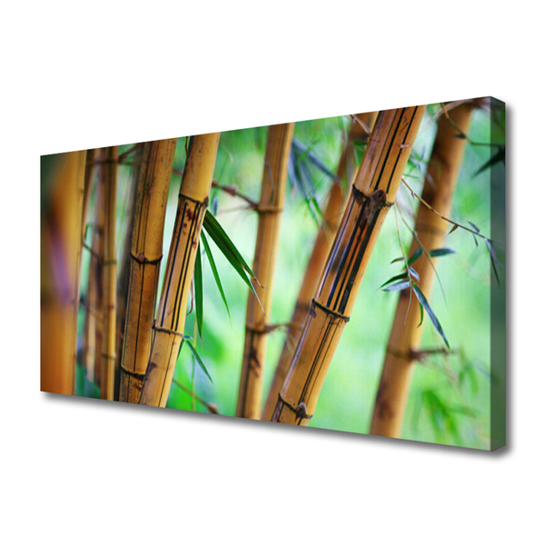 Canvas print Bamboo nature yellow