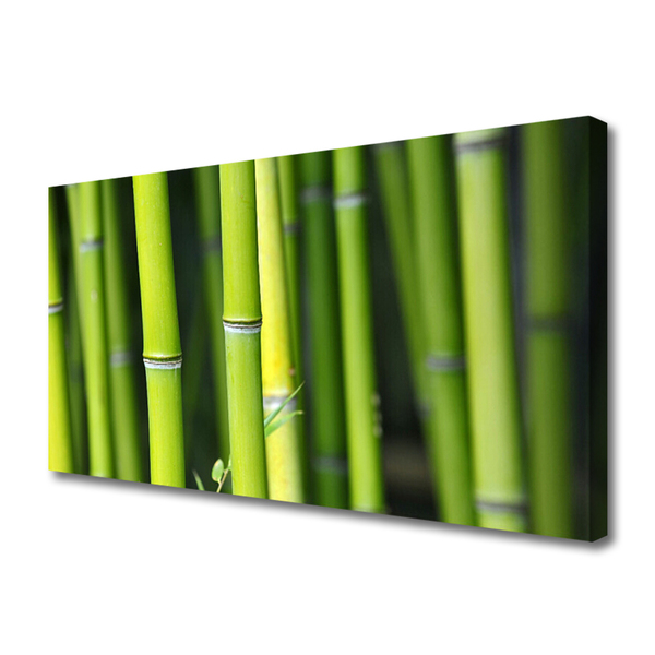 Canvas print Bamboo nature green