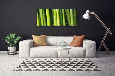 Canvas print Bamboo nature green