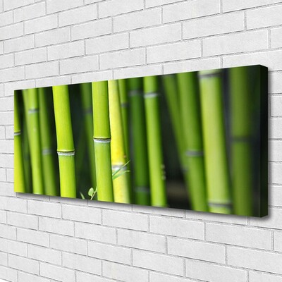 Canvas print Bamboo nature green