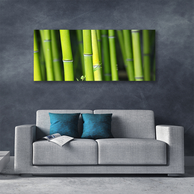 Canvas print Bamboo nature green