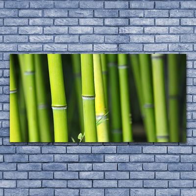 Canvas print Bamboo nature green