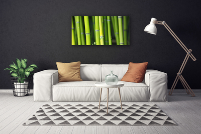 Canvas print Bamboo nature green