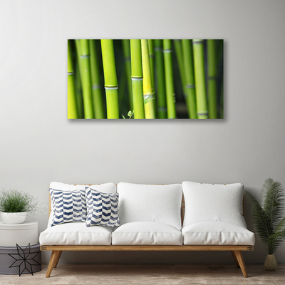 Canvas print Bamboo nature green