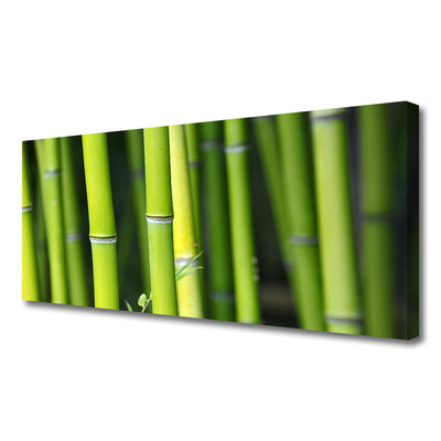 Canvas print Bamboo nature green