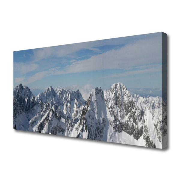 Canvas print Mountains landscape grey white