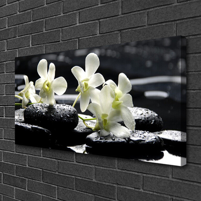 Canvas print Flower stones floral white black