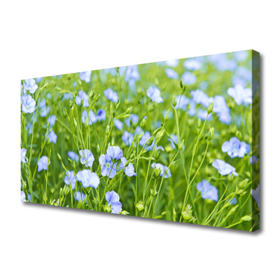 Canvas print Flowers grass nature purple green